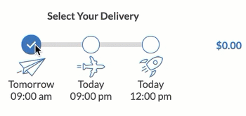 Uploading A Document And Selecting The Delivery Speed